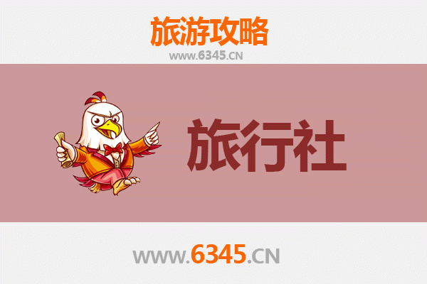阿里日土本地旅行社推荐：探索西藏秘境的专业指南